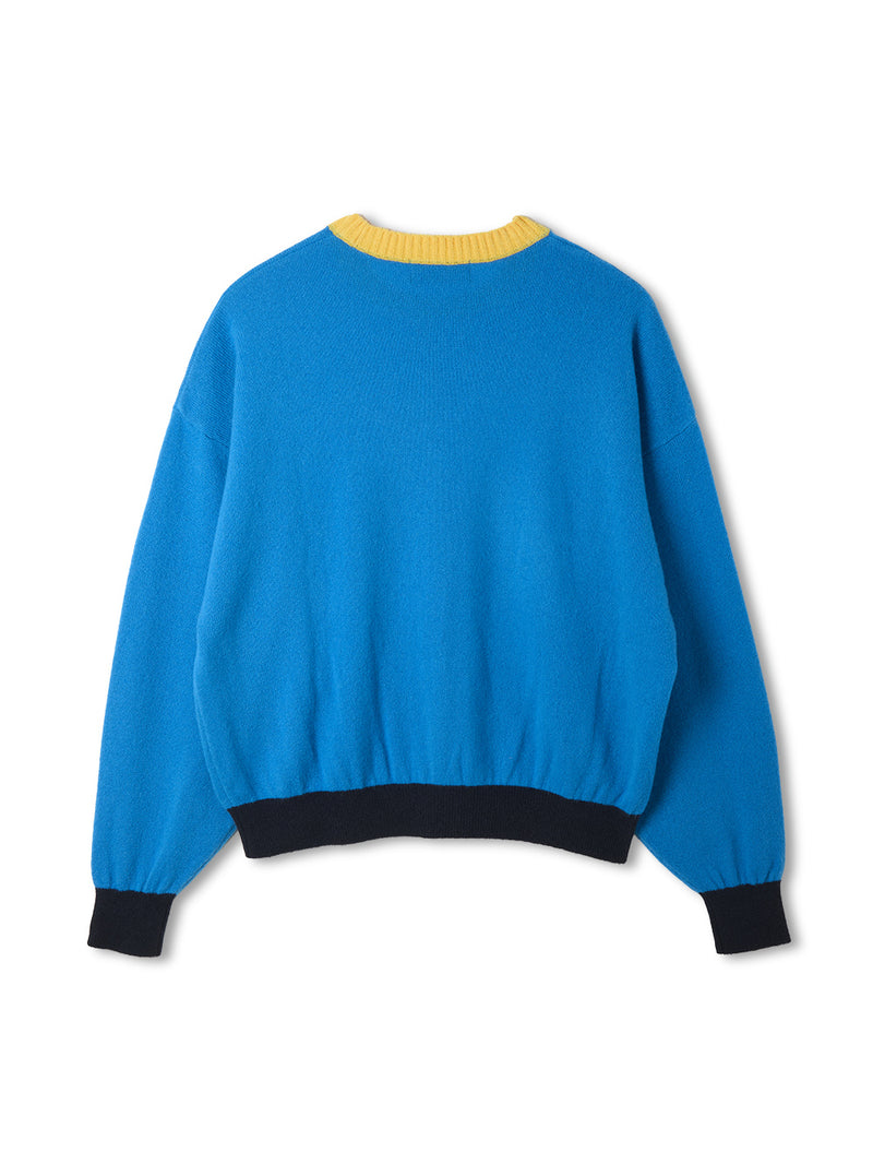 Color Blocked Cashmere Crew Neck